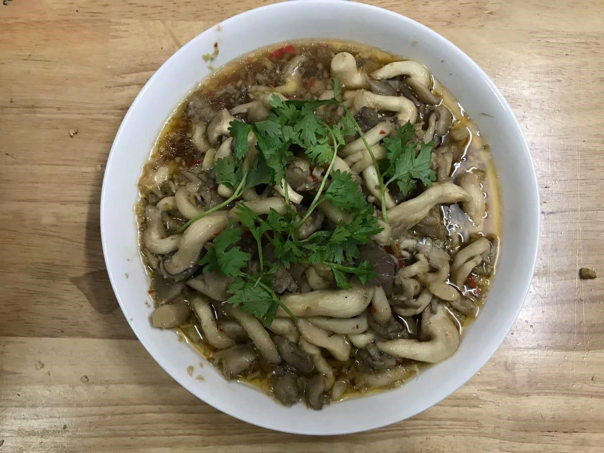 Behind the Scenes at an Organic Mushroom Farm